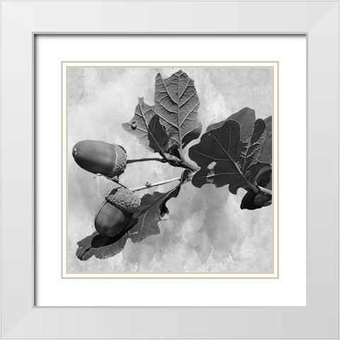 Botanical Trail White Modern Wood Framed Art Print with Double Matting by Phillip, Jamie