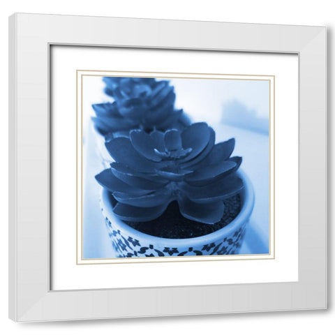 Succulent Photography 2 White Modern Wood Framed Art Print with Double Matting by Phillip, Jamie