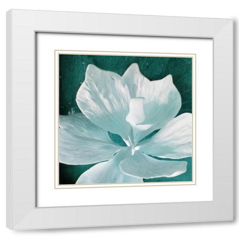 Blue Orchid White Modern Wood Framed Art Print with Double Matting by Phillip, Jamie