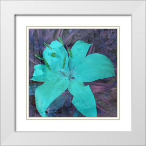 Love in The Garden 2 White Modern Wood Framed Art Print with Double Matting by Phillip, Jamie
