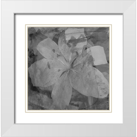 Love in The Garden 3 White Modern Wood Framed Art Print with Double Matting by Phillip, Jamie