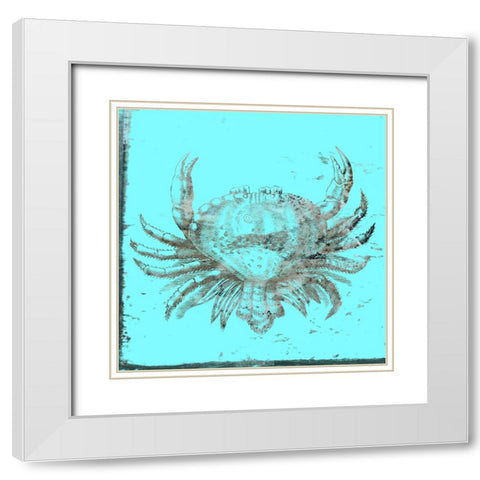 Whay So Crabby 2 White Modern Wood Framed Art Print with Double Matting by Phillip, Jamie