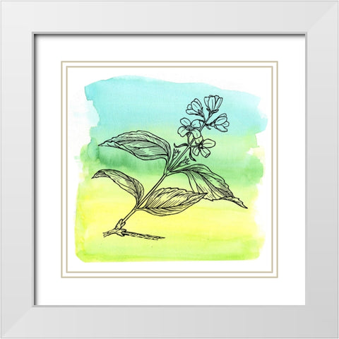 Garden In Bloom White Modern Wood Framed Art Print with Double Matting by Phillip, Jamie