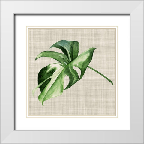 Araceae White Modern Wood Framed Art Print with Double Matting by Urban Road