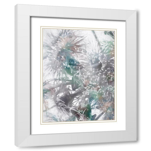 Flowering Gum II White Modern Wood Framed Art Print with Double Matting by Urban Road