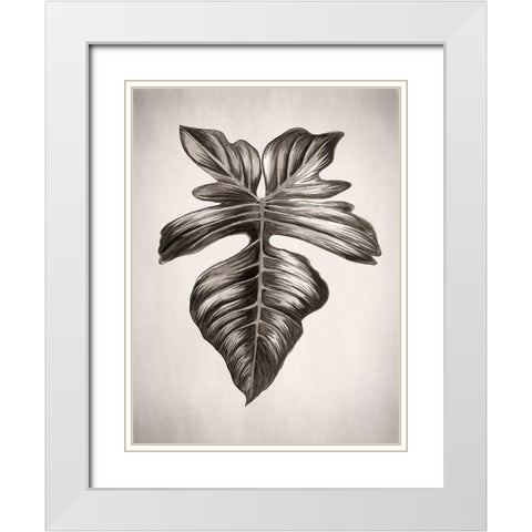 Verdure III Sepia White Modern Wood Framed Art Print with Double Matting by Urban Road