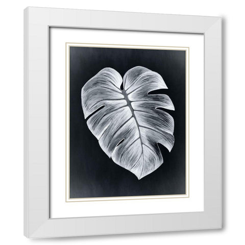 Verdure I Midnight White Modern Wood Framed Art Print with Double Matting by Urban Road