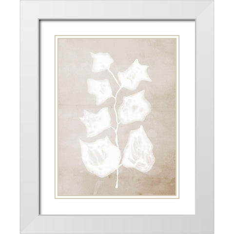 Paper Bark II  White Modern Wood Framed Art Print with Double Matting by Urban Road