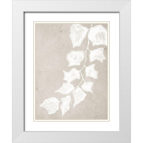 Paper Bark III  White Modern Wood Framed Art Print with Double Matting by Urban Road