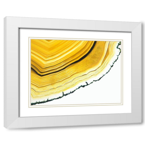 Agate Section White Modern Wood Framed Art Print with Double Matting by Urban Road