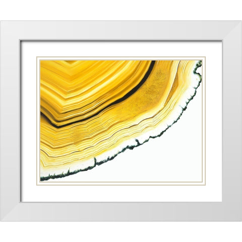 Agate Section White Modern Wood Framed Art Print with Double Matting by Urban Road