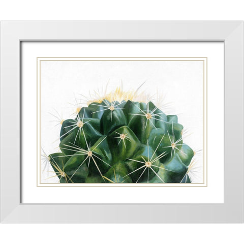 Cacti White Modern Wood Framed Art Print with Double Matting by Urban Road