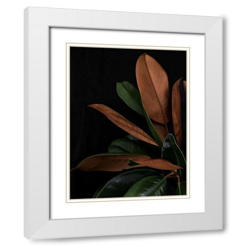 New Leaf  White Modern Wood Framed Art Print with Double Matting by Urban Road