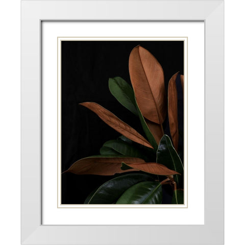 New Leaf  White Modern Wood Framed Art Print with Double Matting by Urban Road