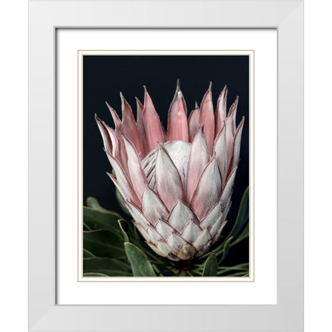 King of Flowers White Modern Wood Framed Art Print with Double Matting by Urban Road