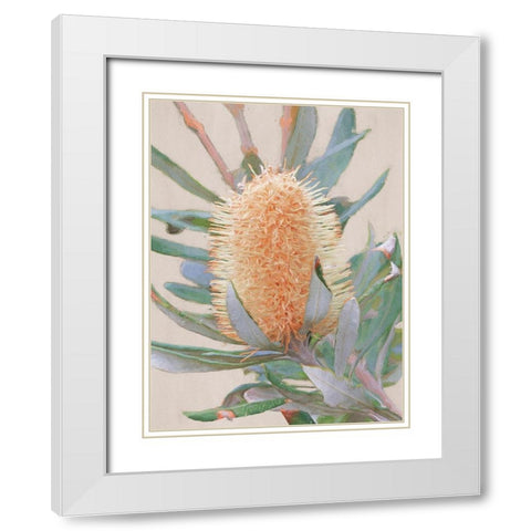 Golden Banksia Art Print White Modern Wood Framed Art Print with Double Matting by Urban Road