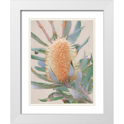 Golden Banksia Art Print White Modern Wood Framed Art Print with Double Matting by Urban Road