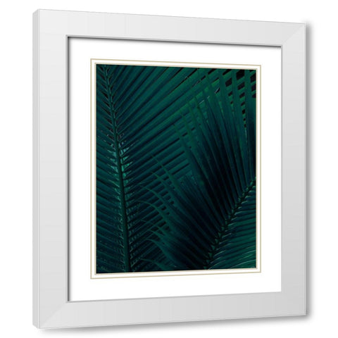 Shade I White Modern Wood Framed Art Print with Double Matting by Urban Road