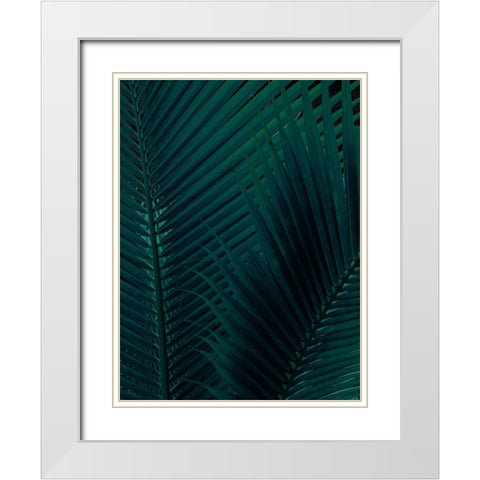 Shade I White Modern Wood Framed Art Print with Double Matting by Urban Road