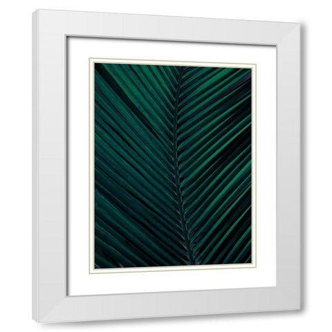 Shade II White Modern Wood Framed Art Print with Double Matting by Urban Road