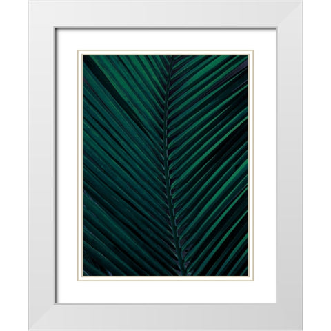 Shade II White Modern Wood Framed Art Print with Double Matting by Urban Road