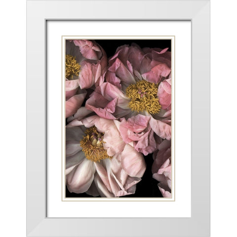 Hopeful II White Modern Wood Framed Art Print with Double Matting by Urban Road