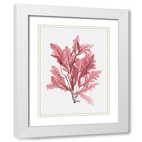 Aruba Blush Poster White Modern Wood Framed Art Print with Double Matting by Urban Road