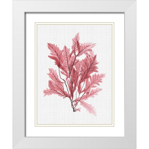 Aruba Blush Poster White Modern Wood Framed Art Print with Double Matting by Urban Road