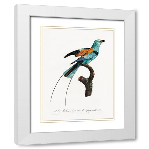 Songbird I Poster White Modern Wood Framed Art Print with Double Matting by Urban Road