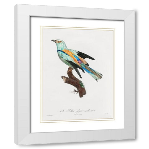 Songbird II Poster White Modern Wood Framed Art Print with Double Matting by Urban Road