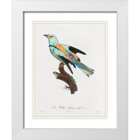 Songbird II Poster White Modern Wood Framed Art Print with Double Matting by Urban Road