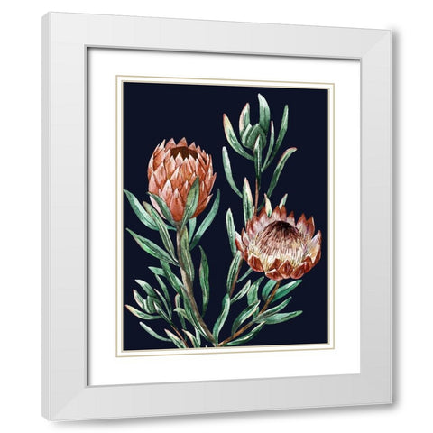 Dark Proteas I Poster White Modern Wood Framed Art Print with Double Matting by Urban Road