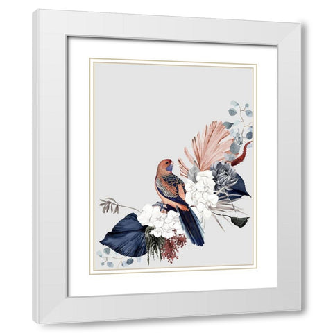 Blushing Rosella Poster White Modern Wood Framed Art Print with Double Matting by Urban Road