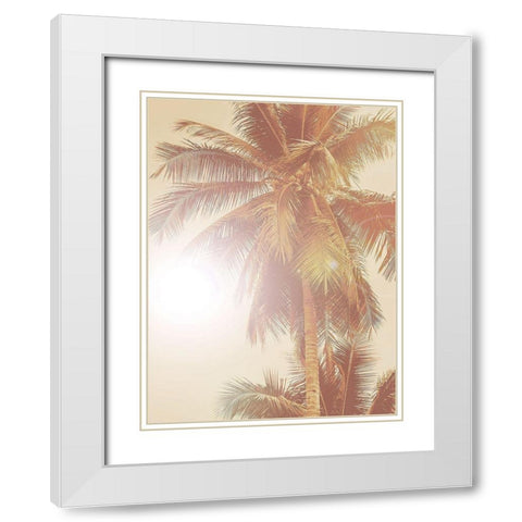 Sunkissed Palm Poster White Modern Wood Framed Art Print with Double Matting by Urban Road