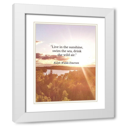 Ralph Waldo Emerson Quote: Swim the Sea White Modern Wood Framed Art Print with Double Matting by ArtsyQuotes