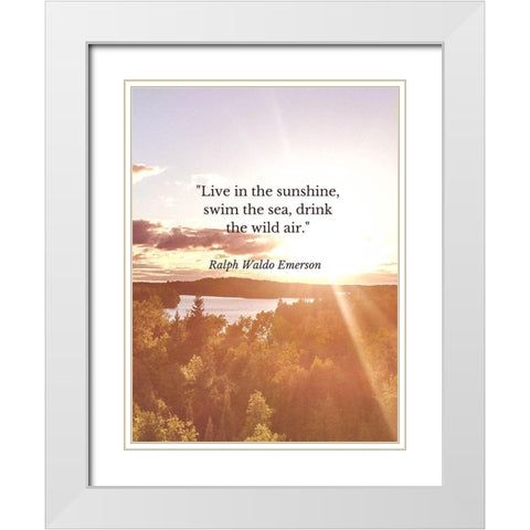 Ralph Waldo Emerson Quote: Swim the Sea White Modern Wood Framed Art Print with Double Matting by ArtsyQuotes