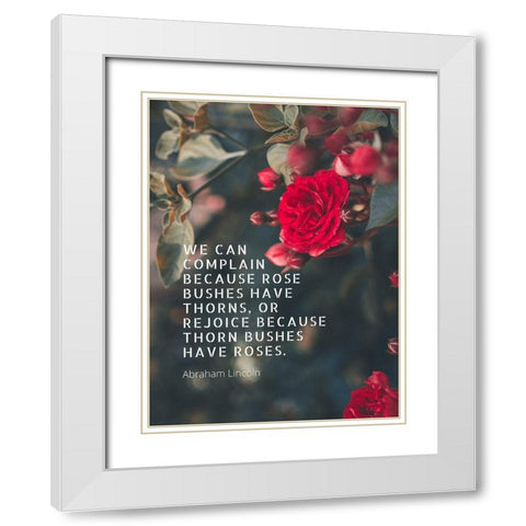 Abraham Lincoln Quote: Bushes have Thorns White Modern Wood Framed Art Print with Double Matting by ArtsyQuotes