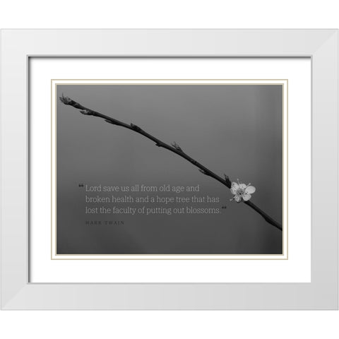 Mark Twain Quote: Lord Save Us White Modern Wood Framed Art Print with Double Matting by ArtsyQuotes