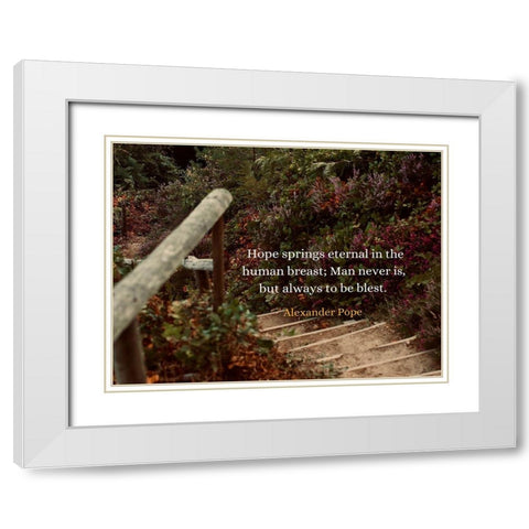 Alexander Pope Quote: Hope Springs Eternal White Modern Wood Framed Art Print with Double Matting by ArtsyQuotes