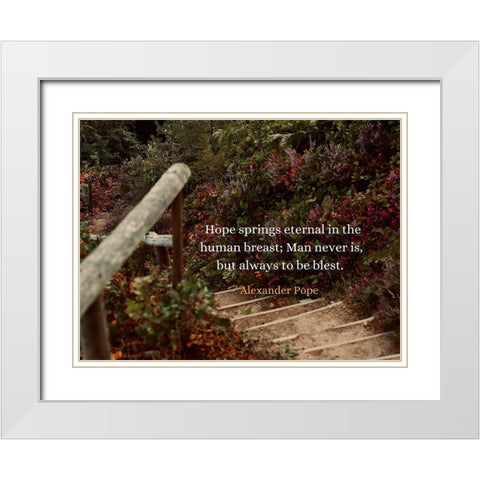 Alexander Pope Quote: Hope Springs Eternal White Modern Wood Framed Art Print with Double Matting by ArtsyQuotes