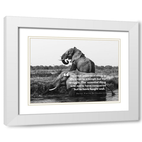 Baron Pierre De Coubertin Quote: Life is Not to Triumph White Modern Wood Framed Art Print with Double Matting by ArtsyQuotes