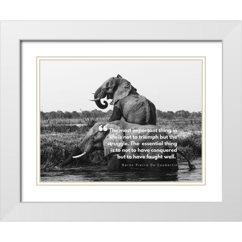 Baron Pierre De Coubertin Quote: Life is Not to Triumph White Modern Wood Framed Art Print with Double Matting by ArtsyQuotes