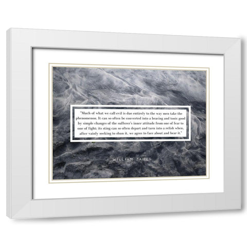 William James Quote: Phenomenon White Modern Wood Framed Art Print with Double Matting by ArtsyQuotes