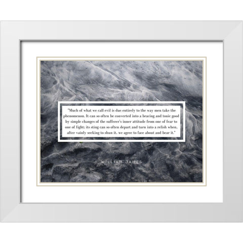 William James Quote: Phenomenon White Modern Wood Framed Art Print with Double Matting by ArtsyQuotes