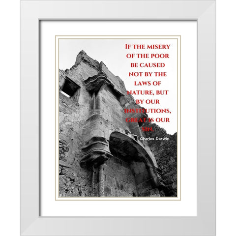 Charles Darwin Quote: Misery of the Poor White Modern Wood Framed Art Print with Double Matting by ArtsyQuotes