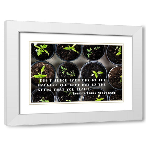 Robert Louis Stevenson Quote: Dont Judge White Modern Wood Framed Art Print with Double Matting by ArtsyQuotes