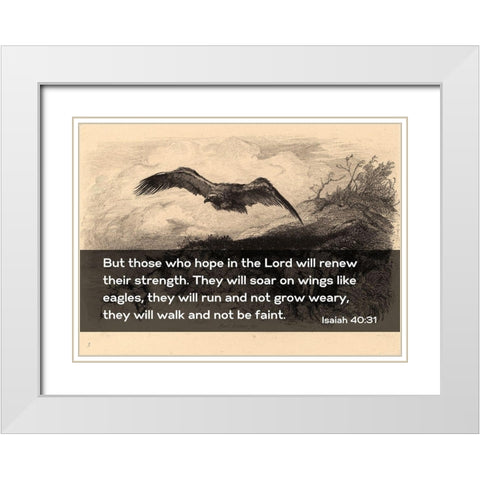 Bible Verse Quote Isaiah 40:31, Karl Bodmer - Eagle Flying White Modern Wood Framed Art Print with Double Matting by ArtsyQuotes