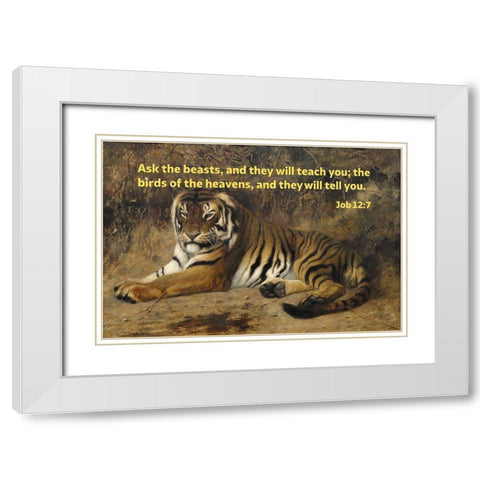 Bible Verse Quote Job 12:7, Jean-Leon Gerome - Tiger II White Modern Wood Framed Art Print with Double Matting by ArtsyQuotes