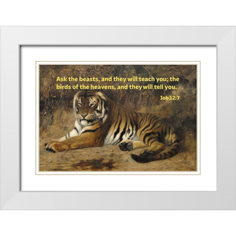 Bible Verse Quote Job 12:7, Jean-Leon Gerome - Tiger II White Modern Wood Framed Art Print with Double Matting by ArtsyQuotes