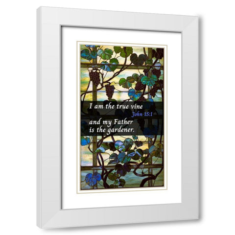 Bible Verse Quote John 15:1, Louis Comfort Tiffany - Grapevine Panel White Modern Wood Framed Art Print with Double Matting by ArtsyQuotes